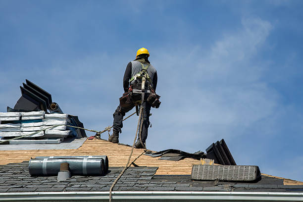 Professional Storm Damage Roof Repair technician working in Lee Center, IL